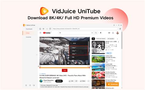 vidjuice video downloader|VidJuice UniTube 5.1.1